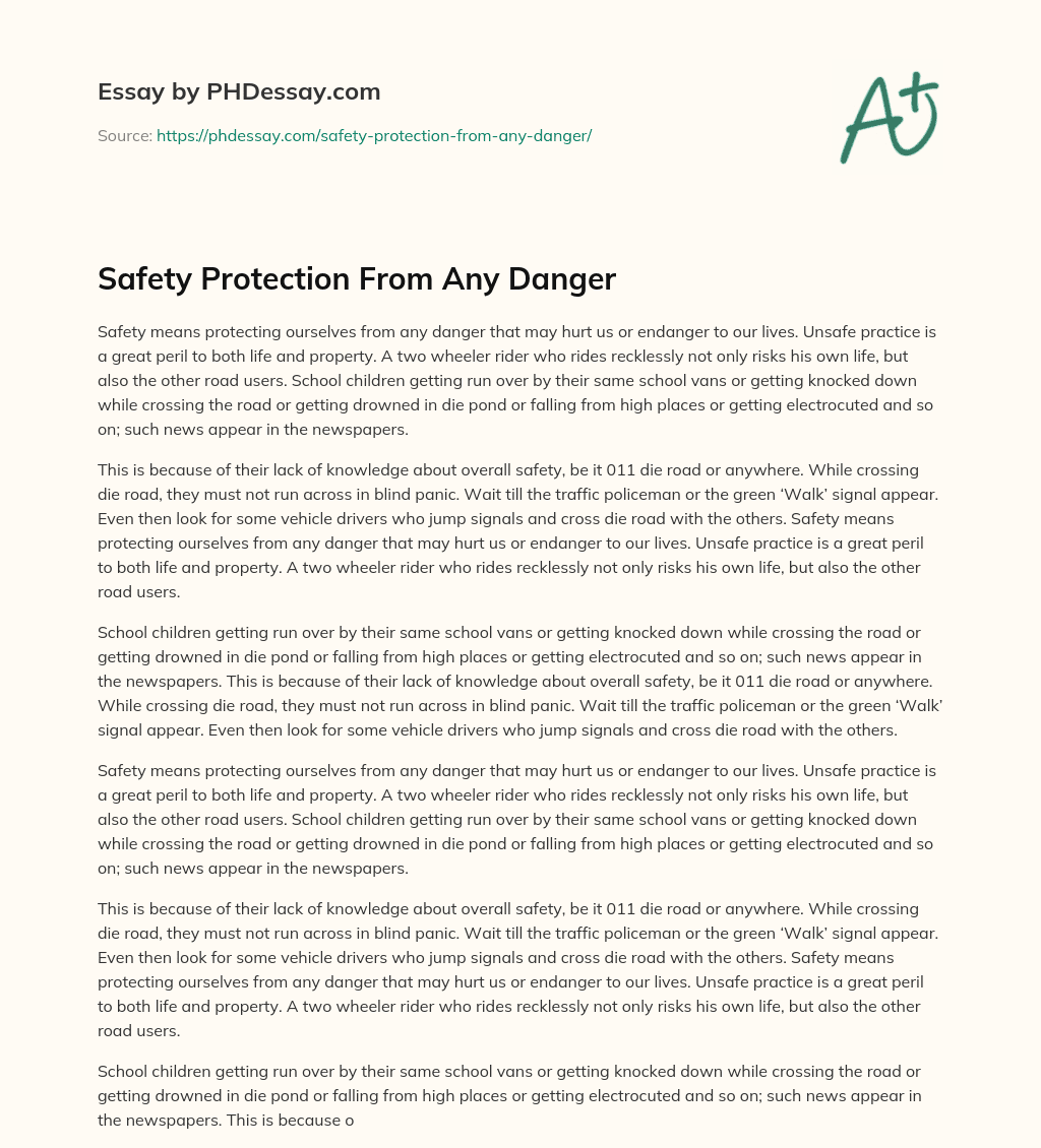 Safety Protection From Any Danger essay