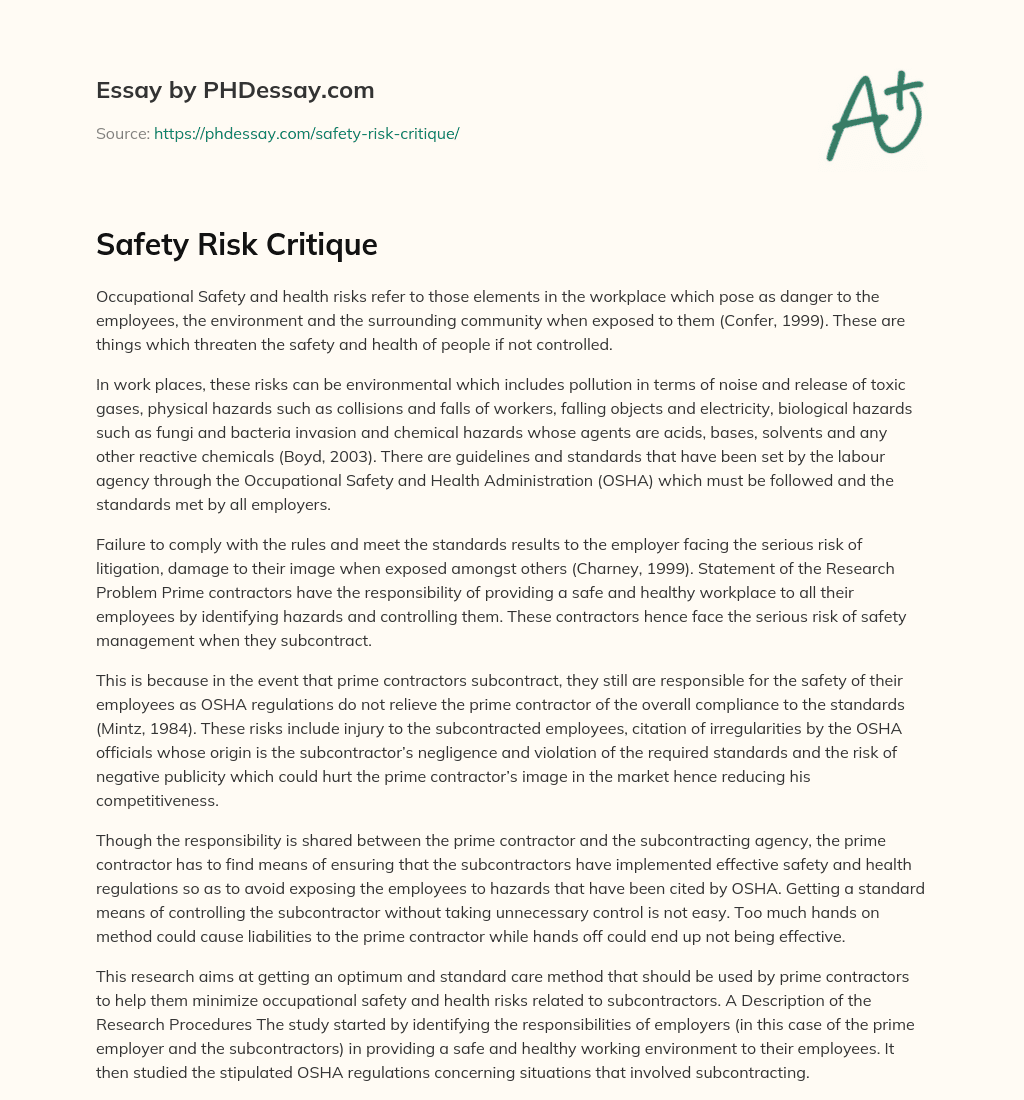 Safety Risk Critique essay