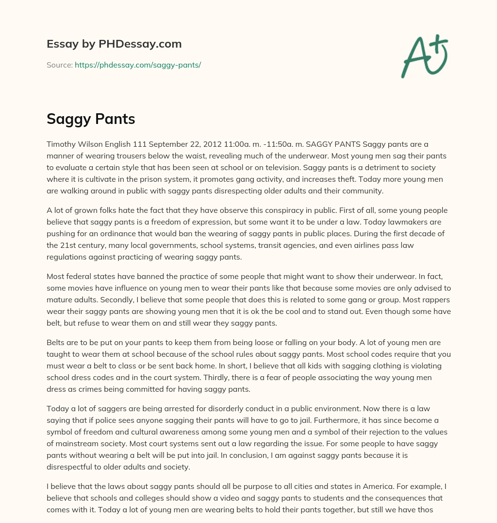 The Negative Effects of Saggy Pants on Society essay