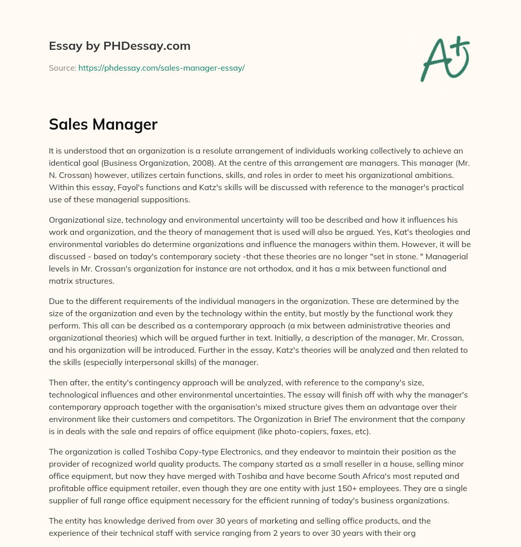 Sales Manager essay