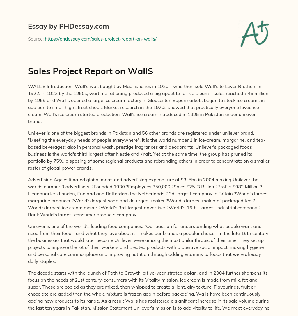 Sales Project Report on WallS essay