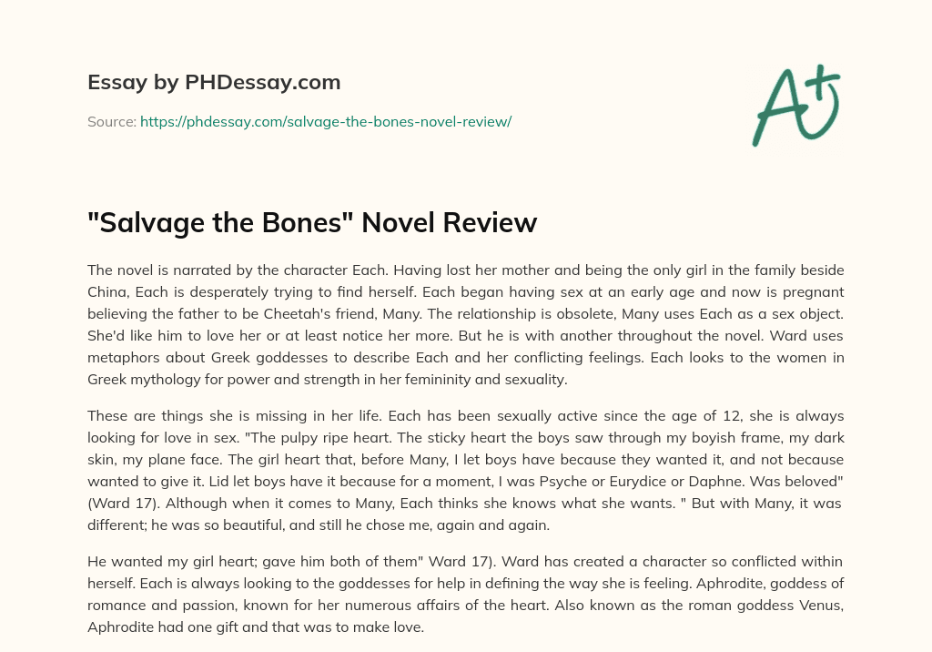 “Salvage the Bones” Novel Review essay