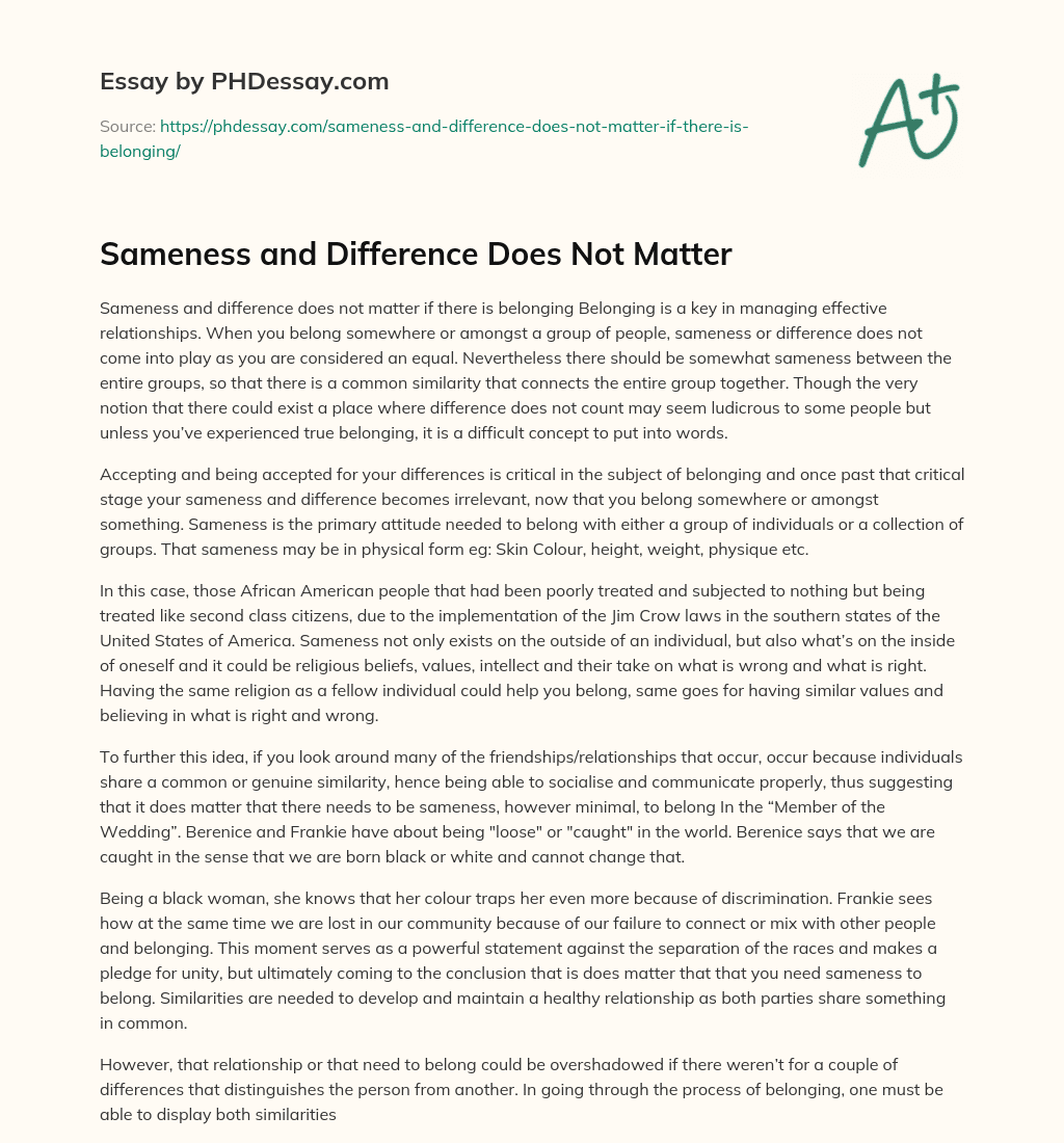 Sameness and Difference Does Not Matter essay