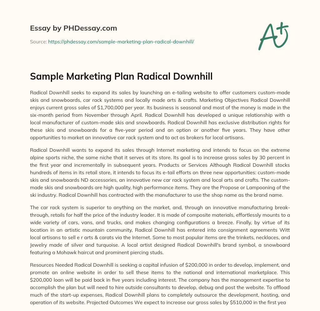 Sample Marketing Plan Radical Downhill essay