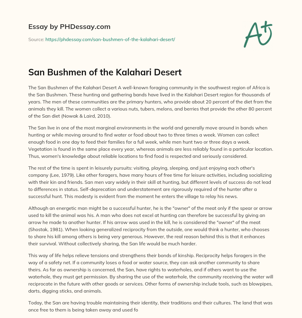 San Bushmen of the Kalahari Desert essay