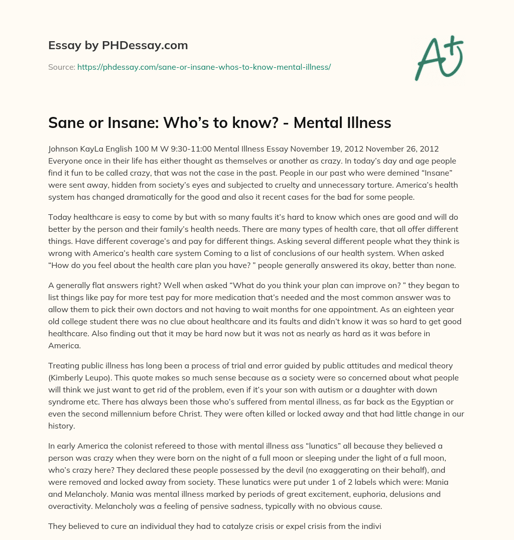 Sane or Insane: Who’s to know? – Mental Illness essay