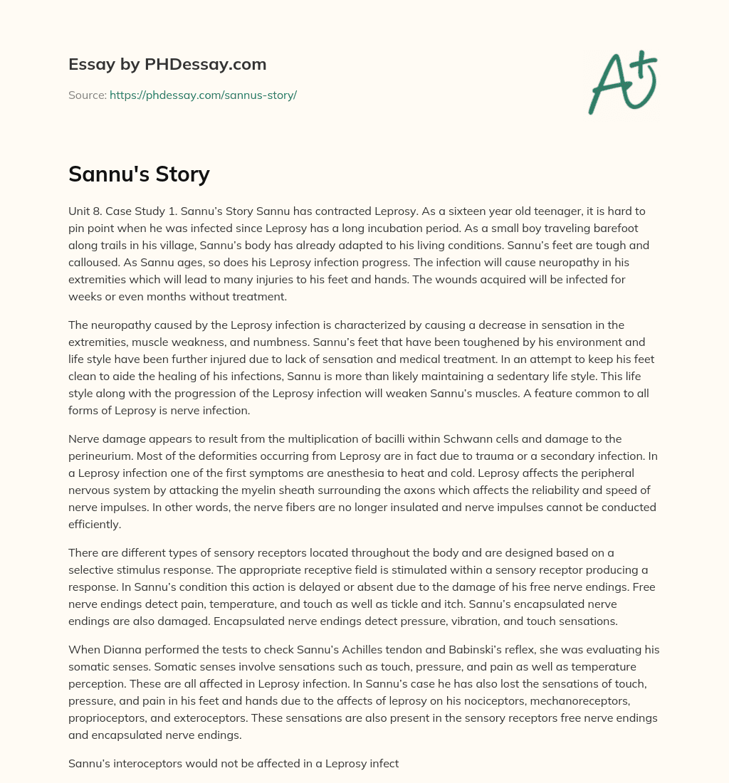 Sannu’s Story essay