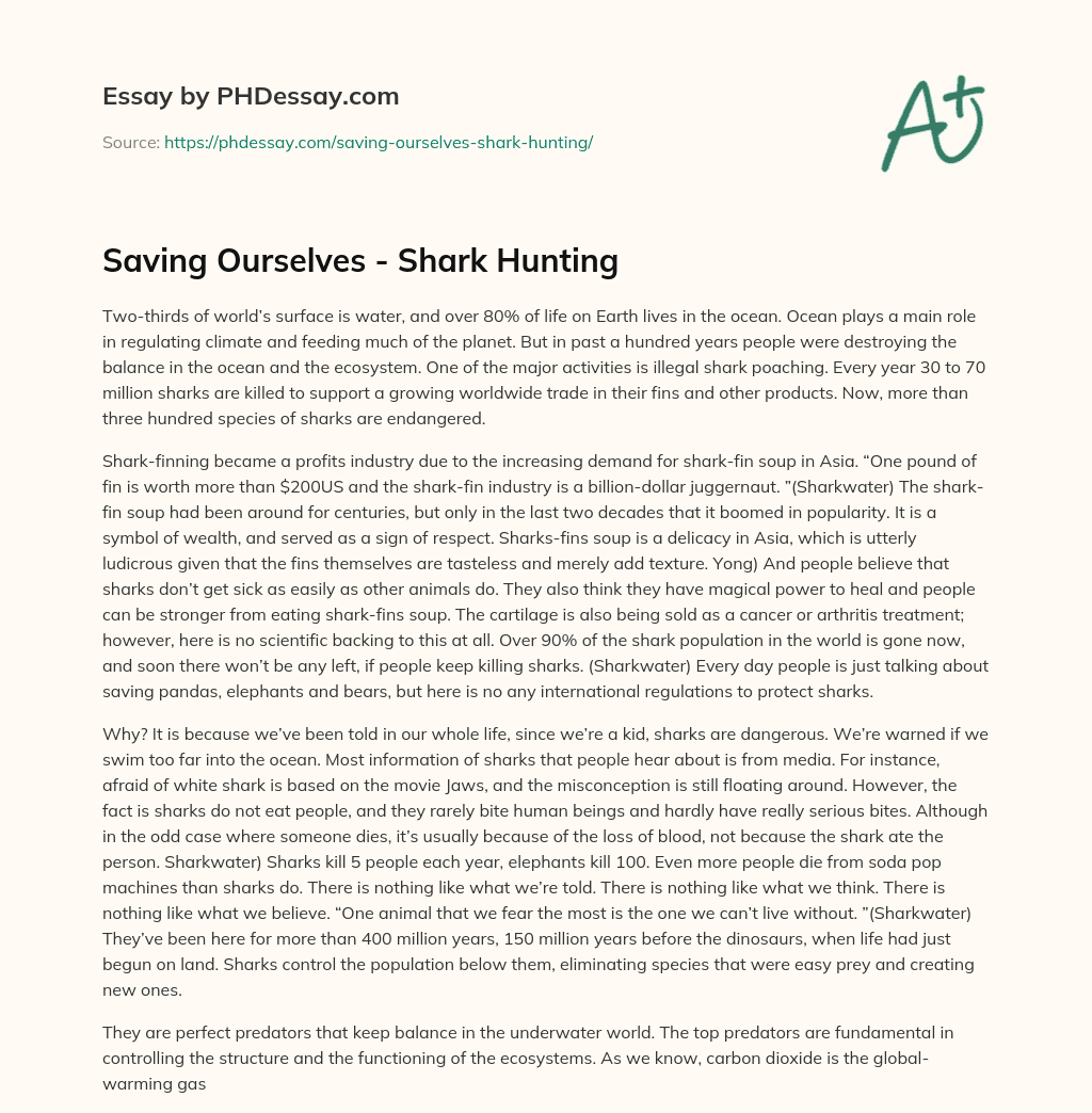 Saving Ourselves – Shark Hunting essay