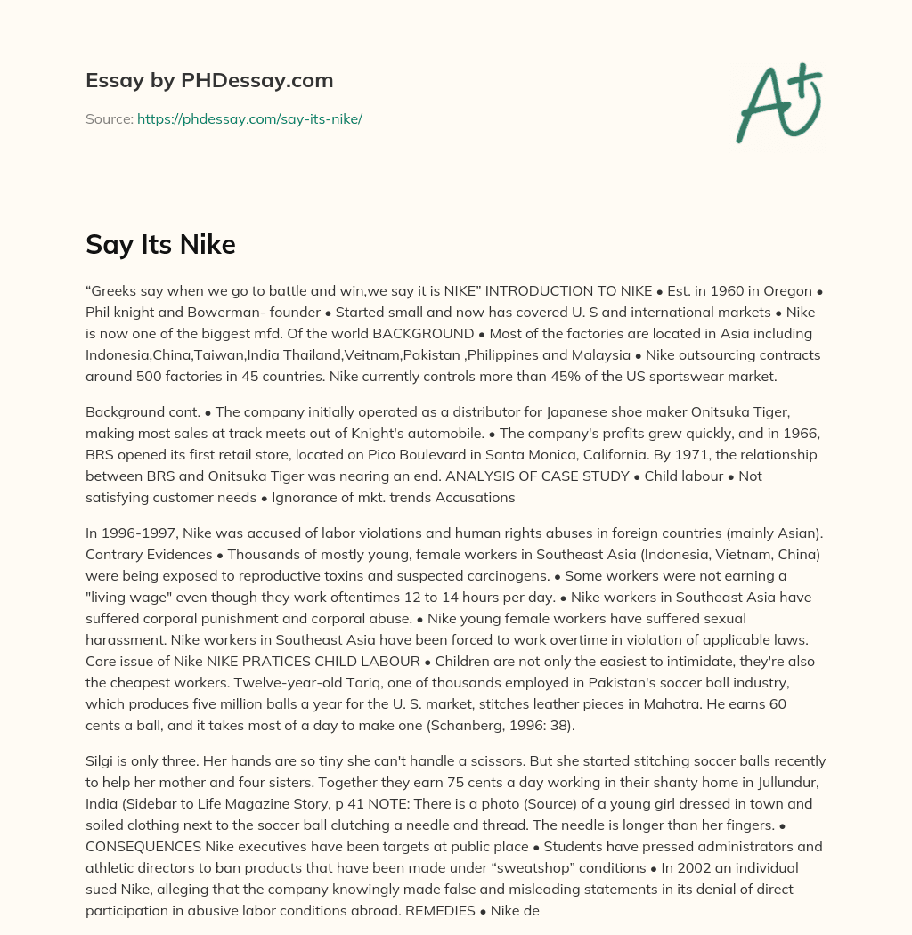 Say Its Nike essay