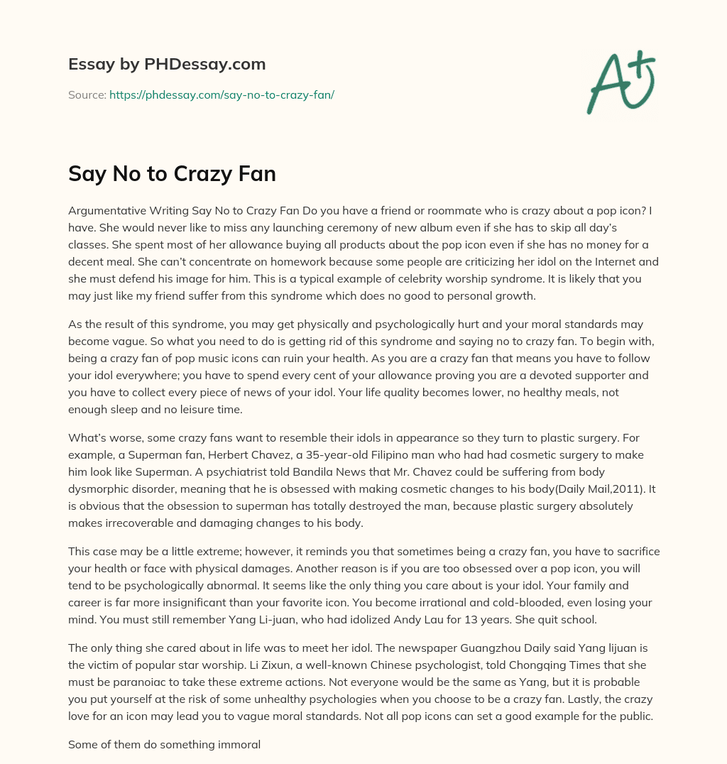 Say No to Crazy Fan essay