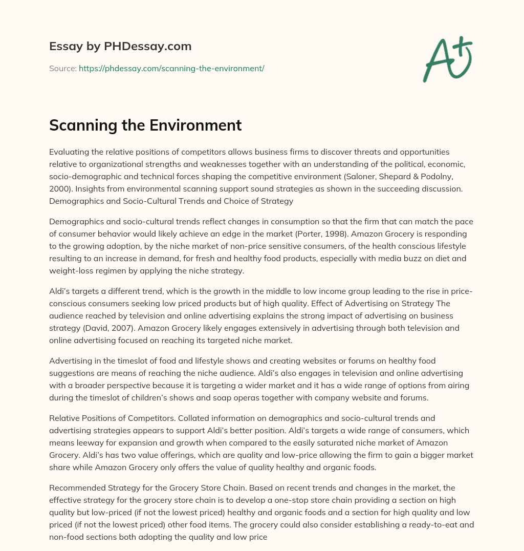 Scanning the Environment essay
