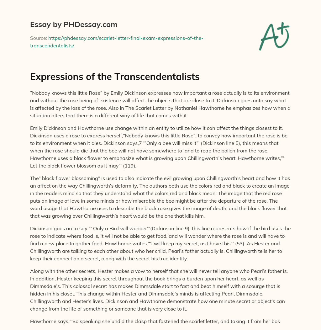 Expressions of the Transcendentalists essay