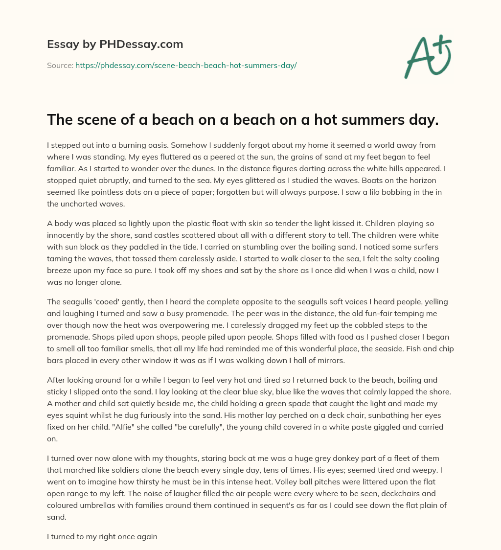 The scene of a beach on a beach on a hot summers day. essay