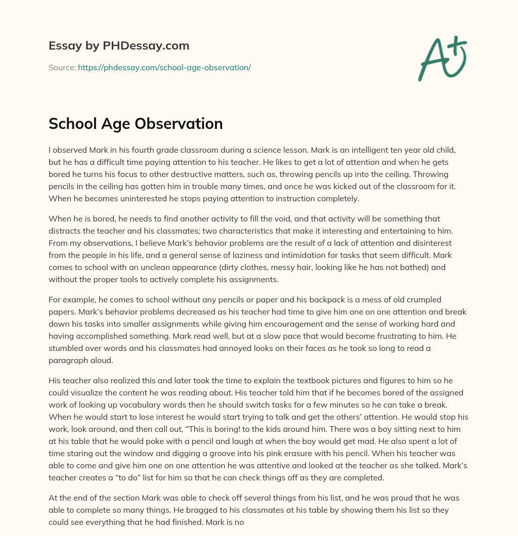 School Age Observation essay