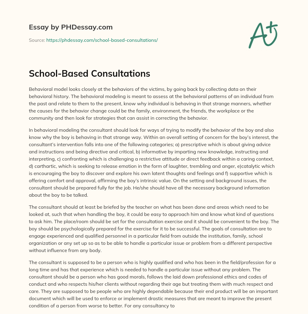 School-Based Consultations essay