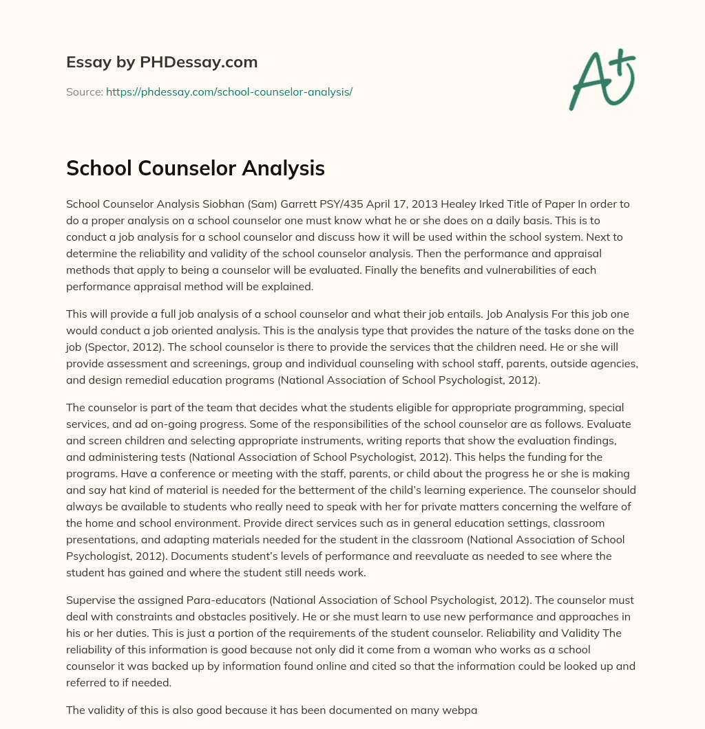 School Counselor Analysis essay
