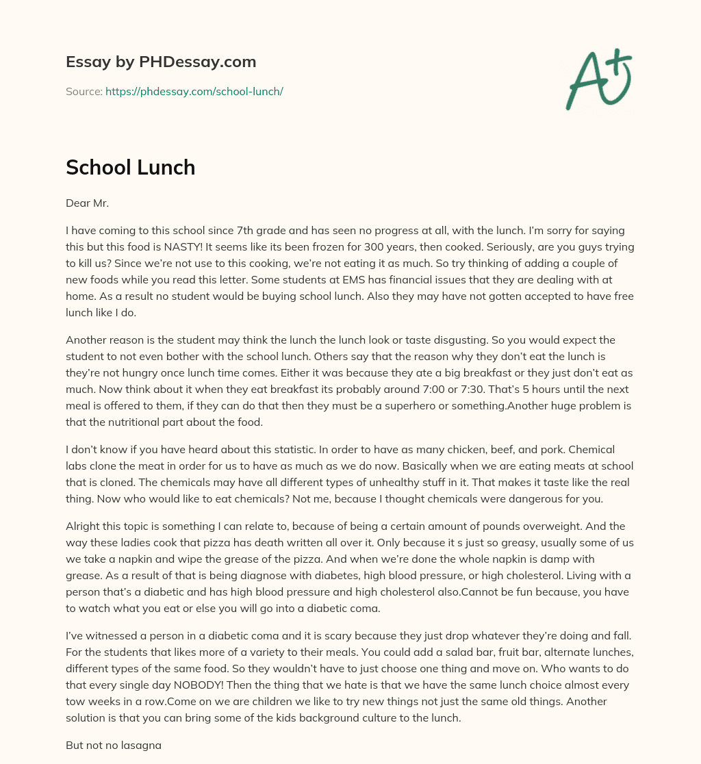 school lunch essay examples