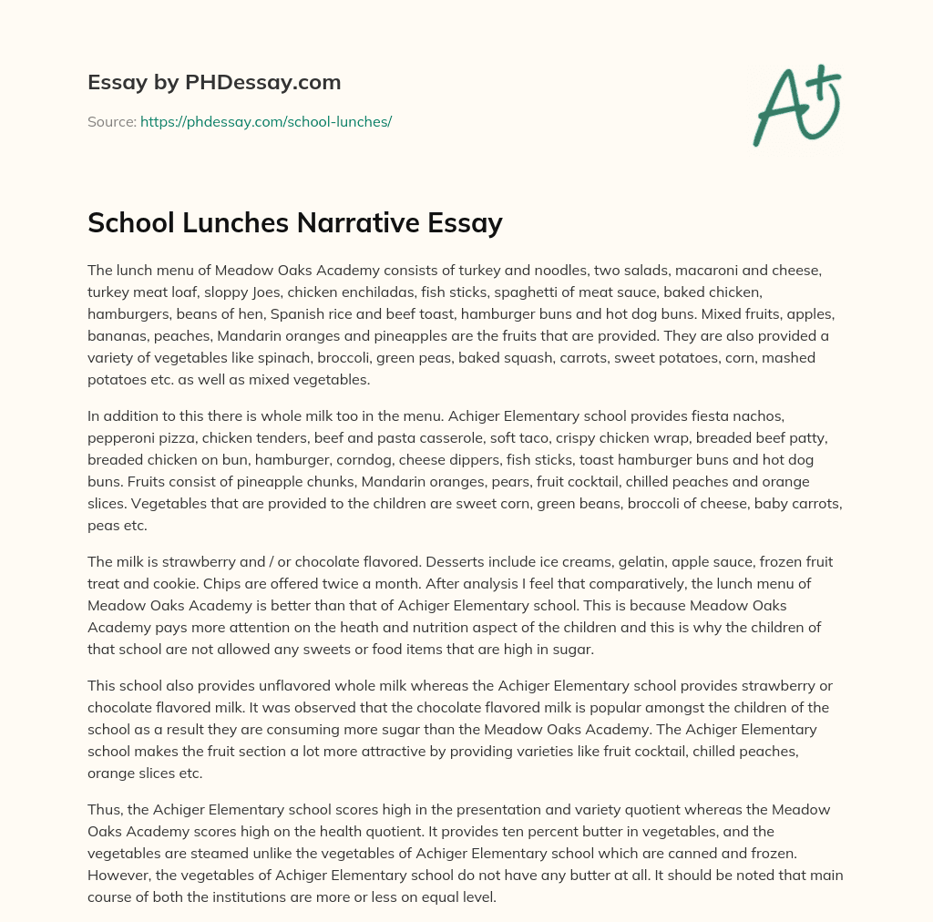School Lunches Narrative Essay essay