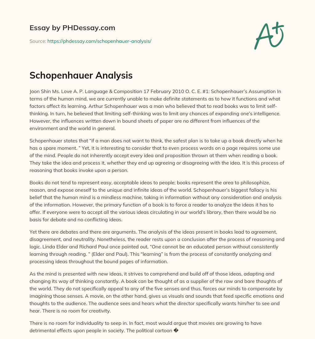 Schopenhauer Analysis essay