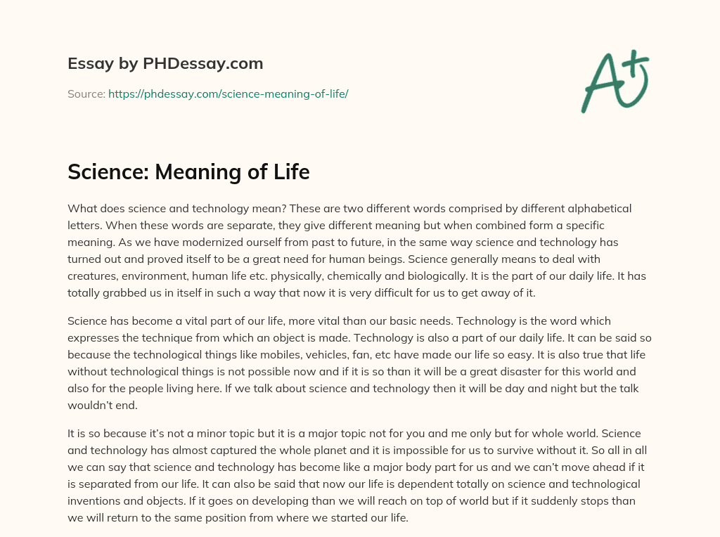 what is the meaning of your life essay brainly