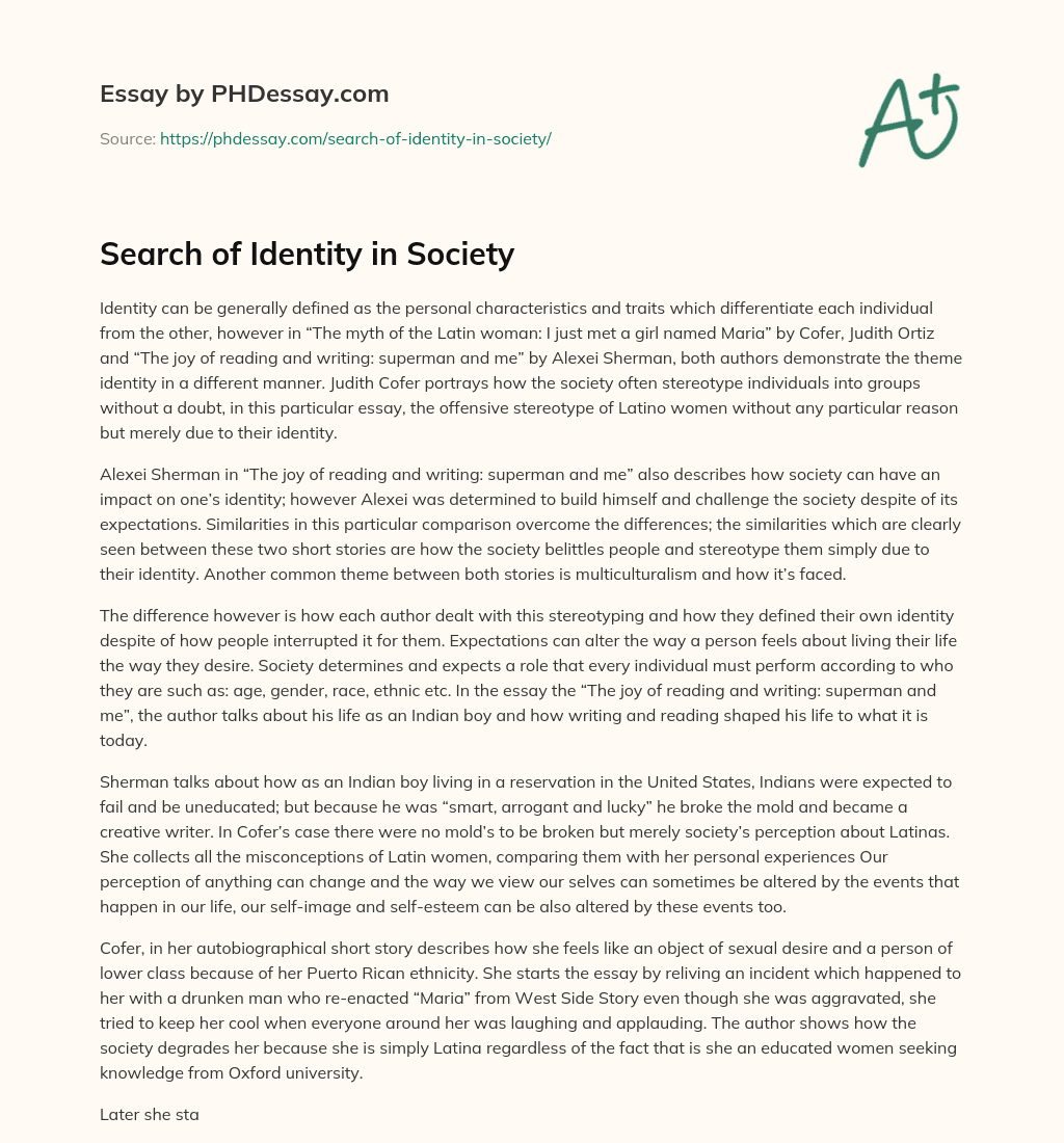 Search of Identity in Society essay