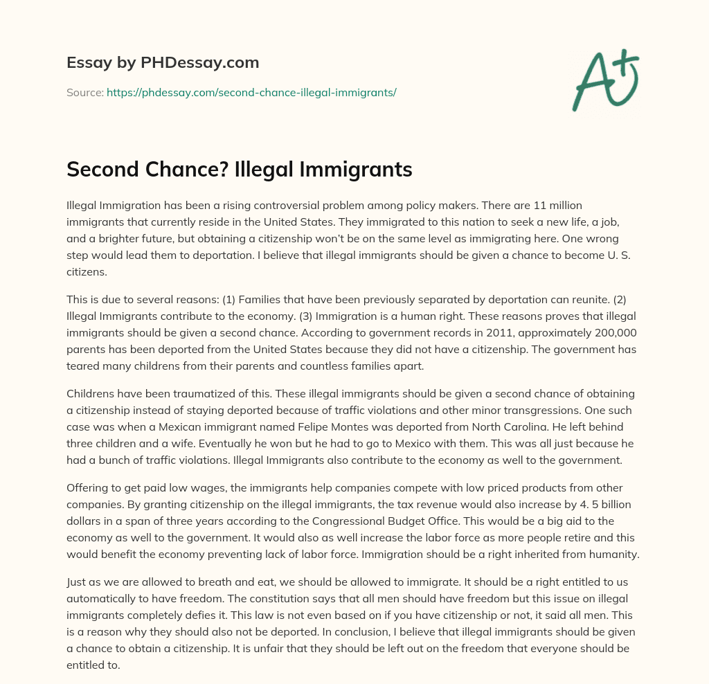 Second Chance? Illegal Immigrants essay