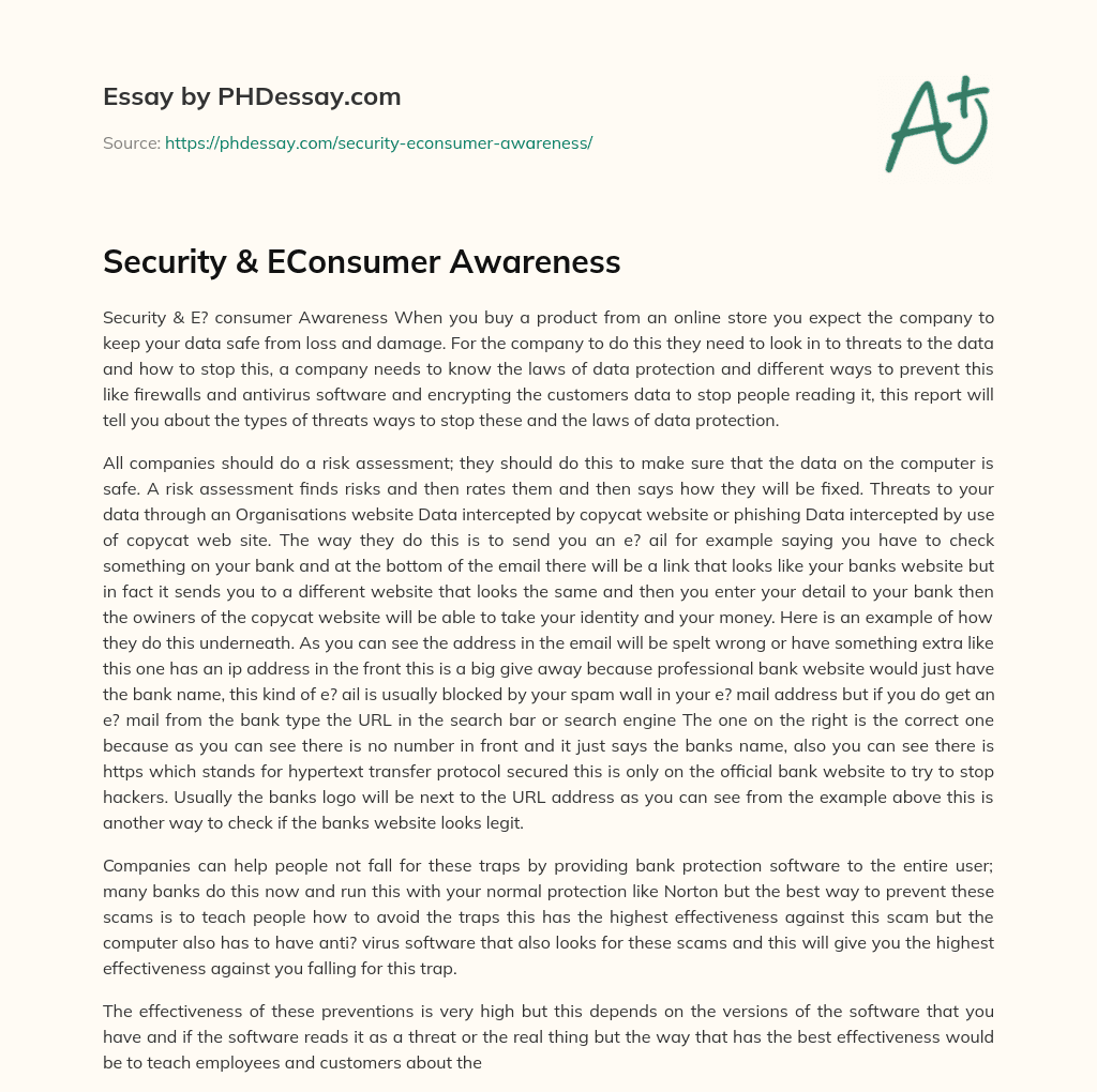 Security & EConsumer Awareness essay