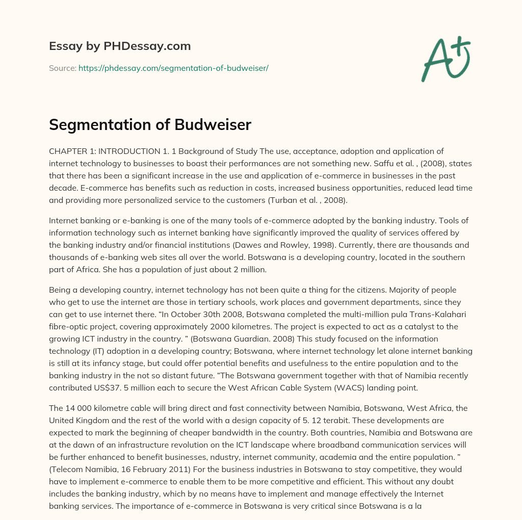 Segmentation of Budweiser essay