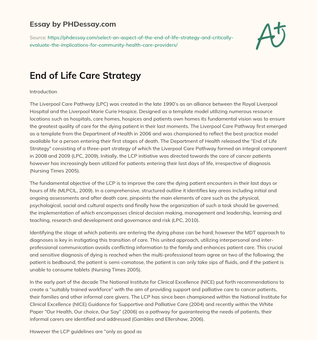 End of Life Care Strategy essay