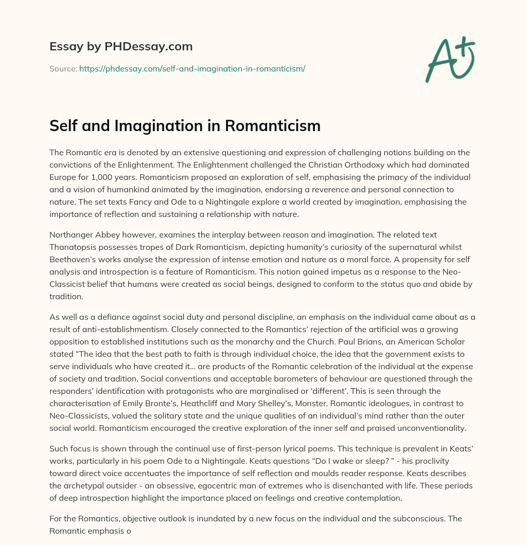 Self and Imagination in Romanticism essay