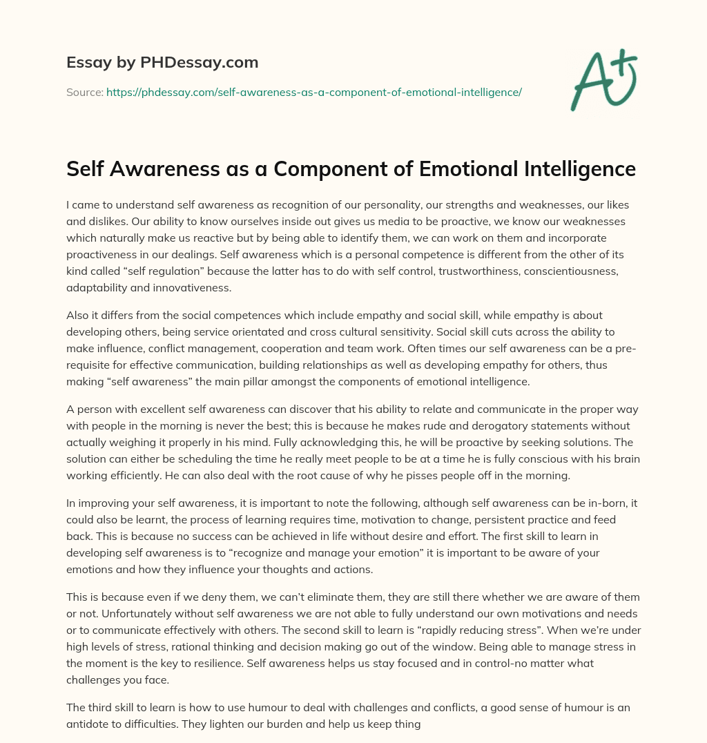 emotional self awareness essay