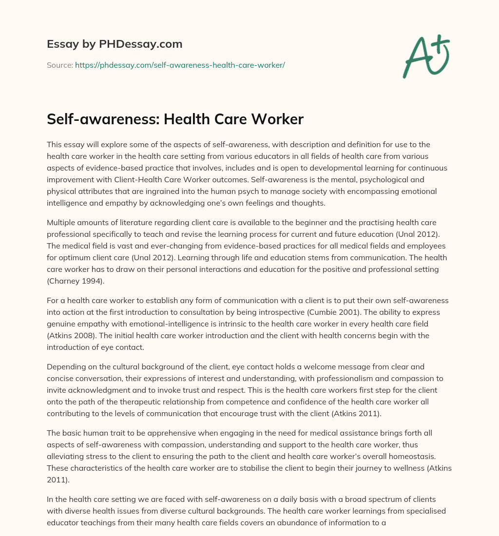 Self-awareness: Health Care Worker essay