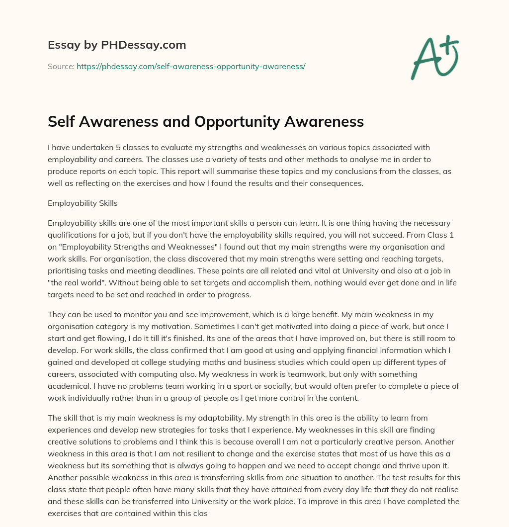 Self Awareness and Opportunity Awareness essay