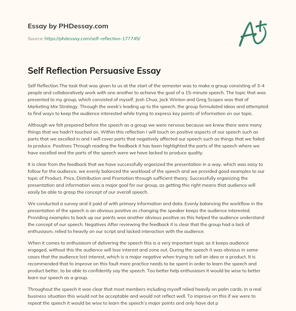Self Reflection Persuasive Essay essay