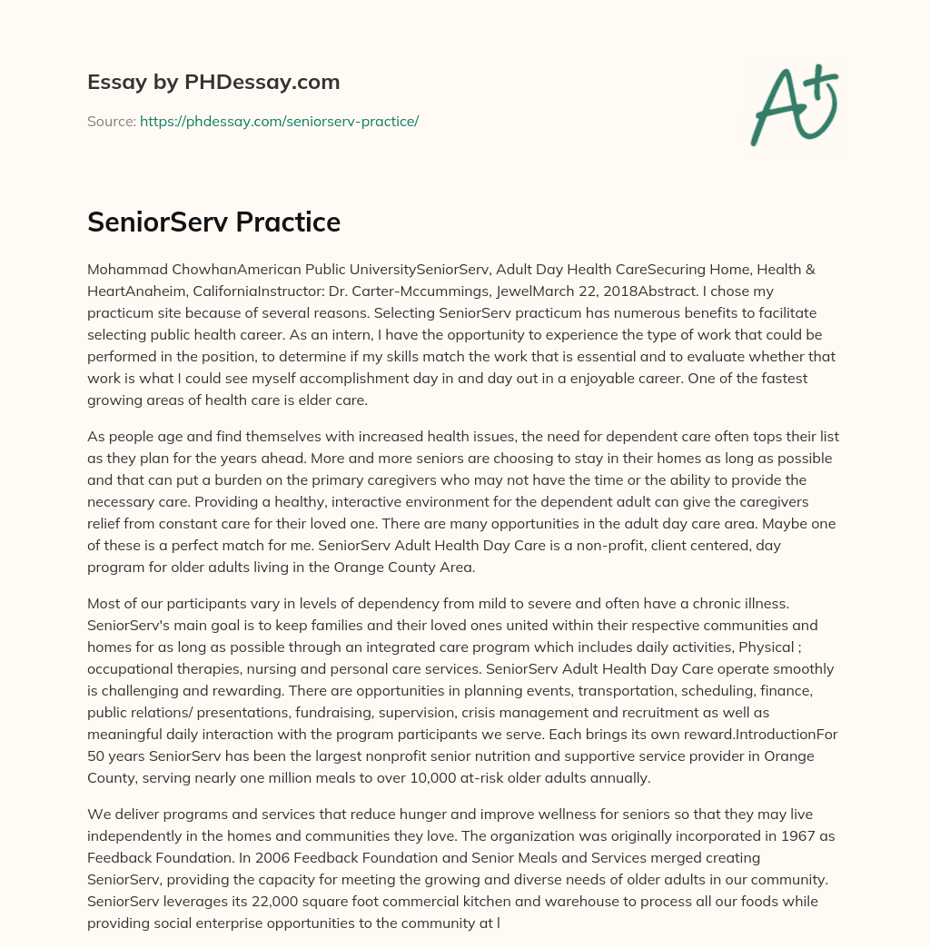 SeniorServ Practice essay
