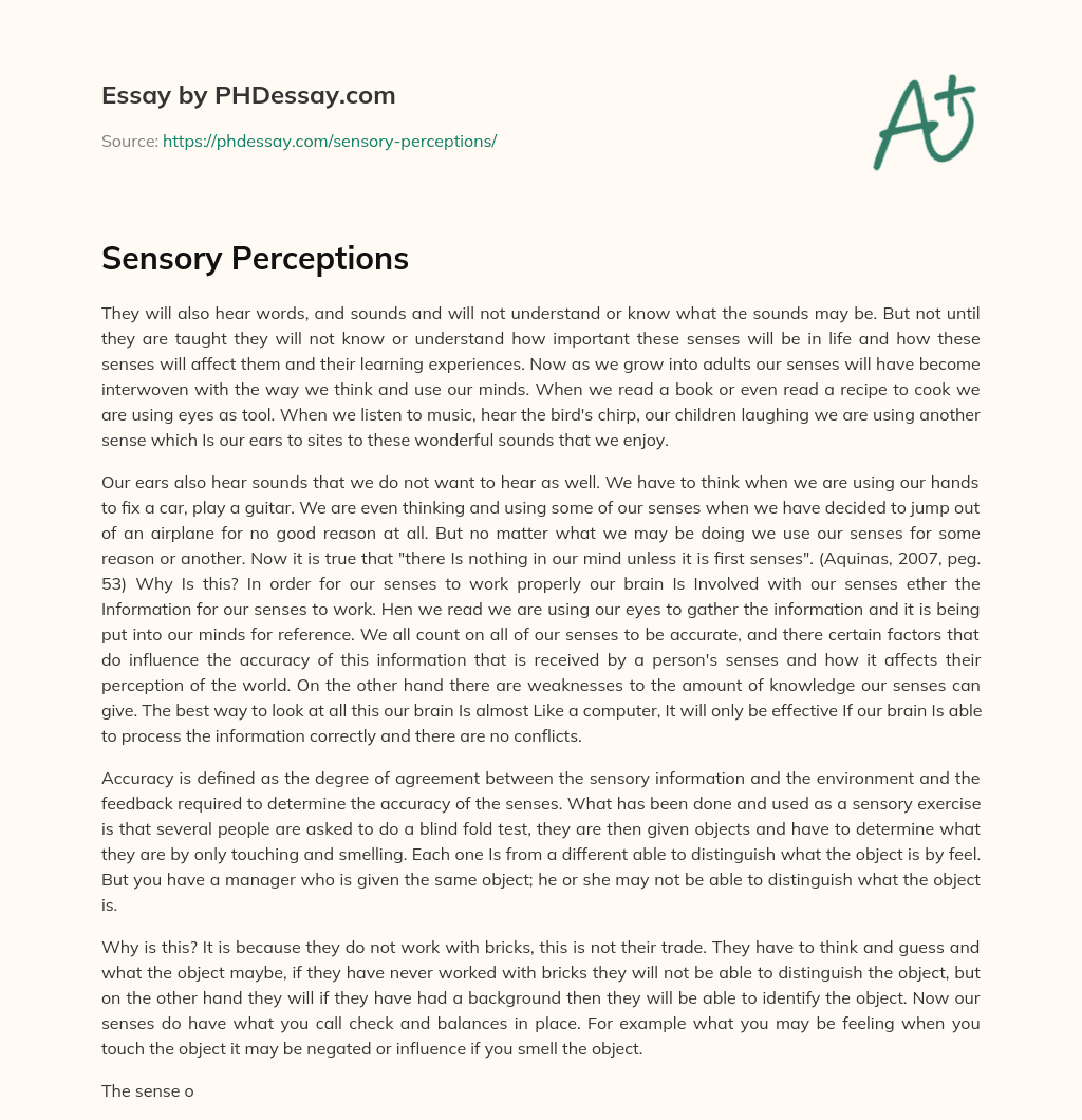 Sensory Perceptions essay