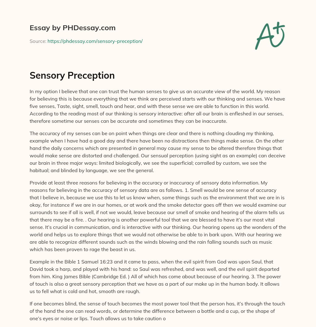 Sensory Preception essay