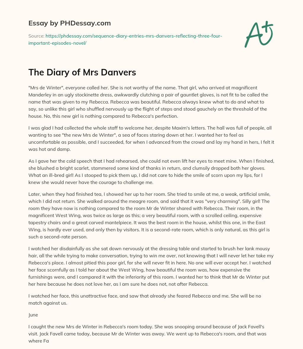 The Diary of Mrs Danvers essay