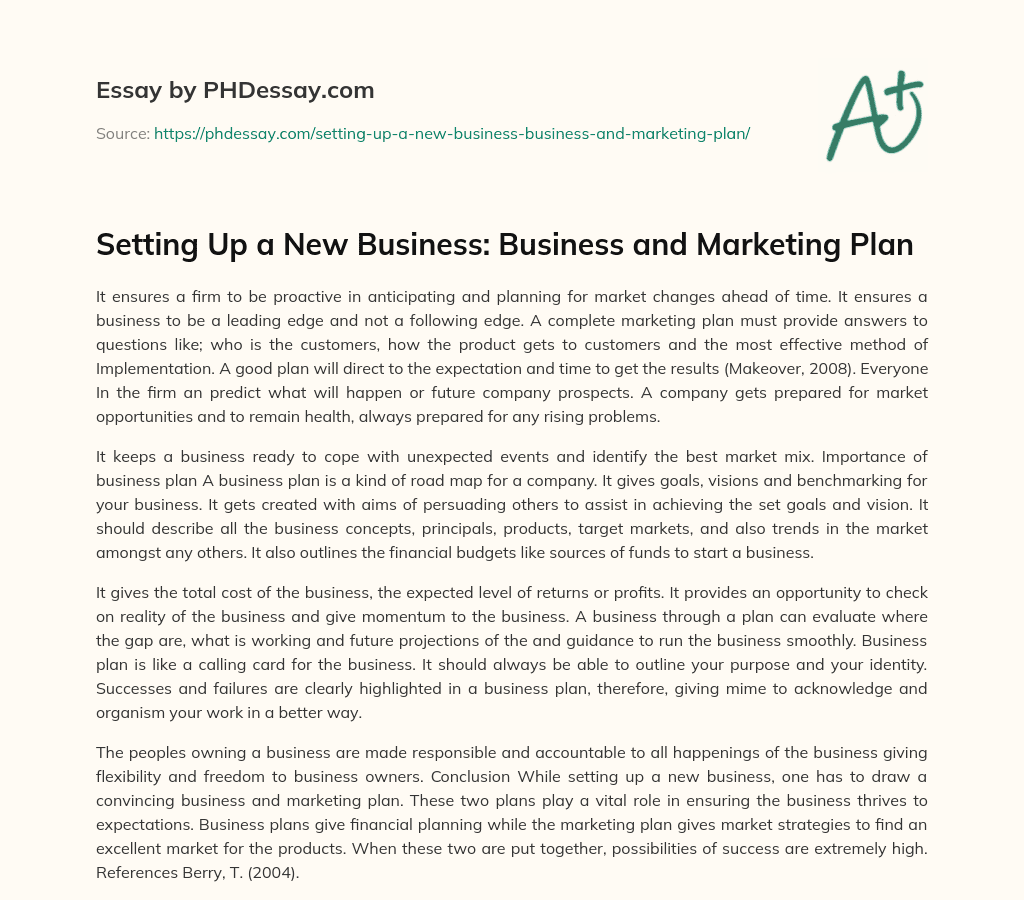 Setting Up a New Business: Business and Marketing Plan essay
