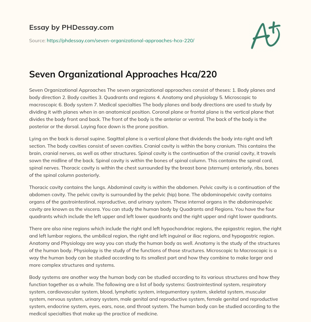 Seven Organizational Approaches Hca/220 essay