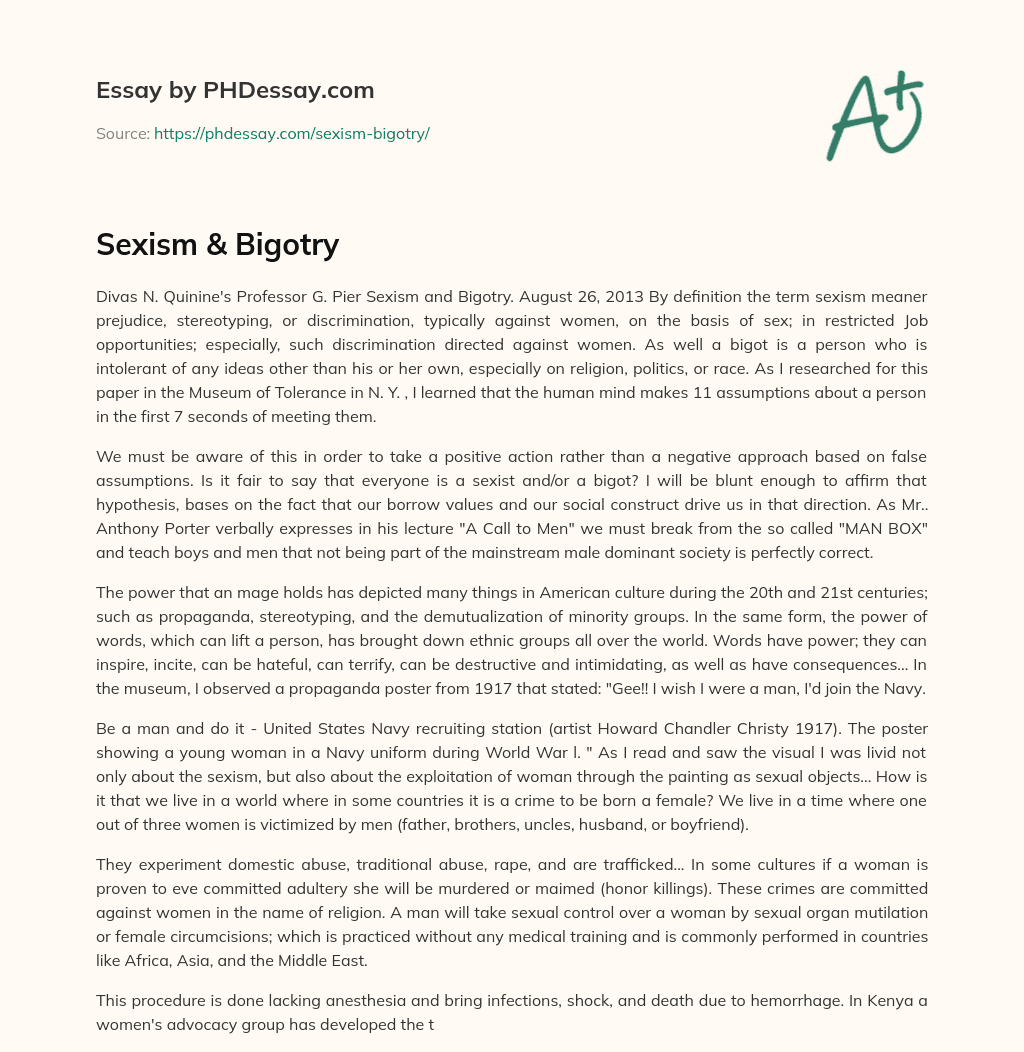 Sexism & Bigotry essay