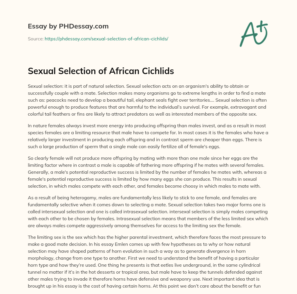 Sexual Selection of African Cichlids essay