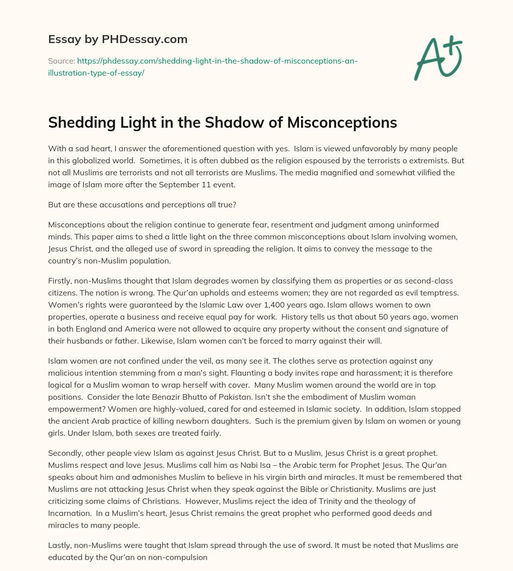 Shedding Light in the Shadow of Misconceptions essay