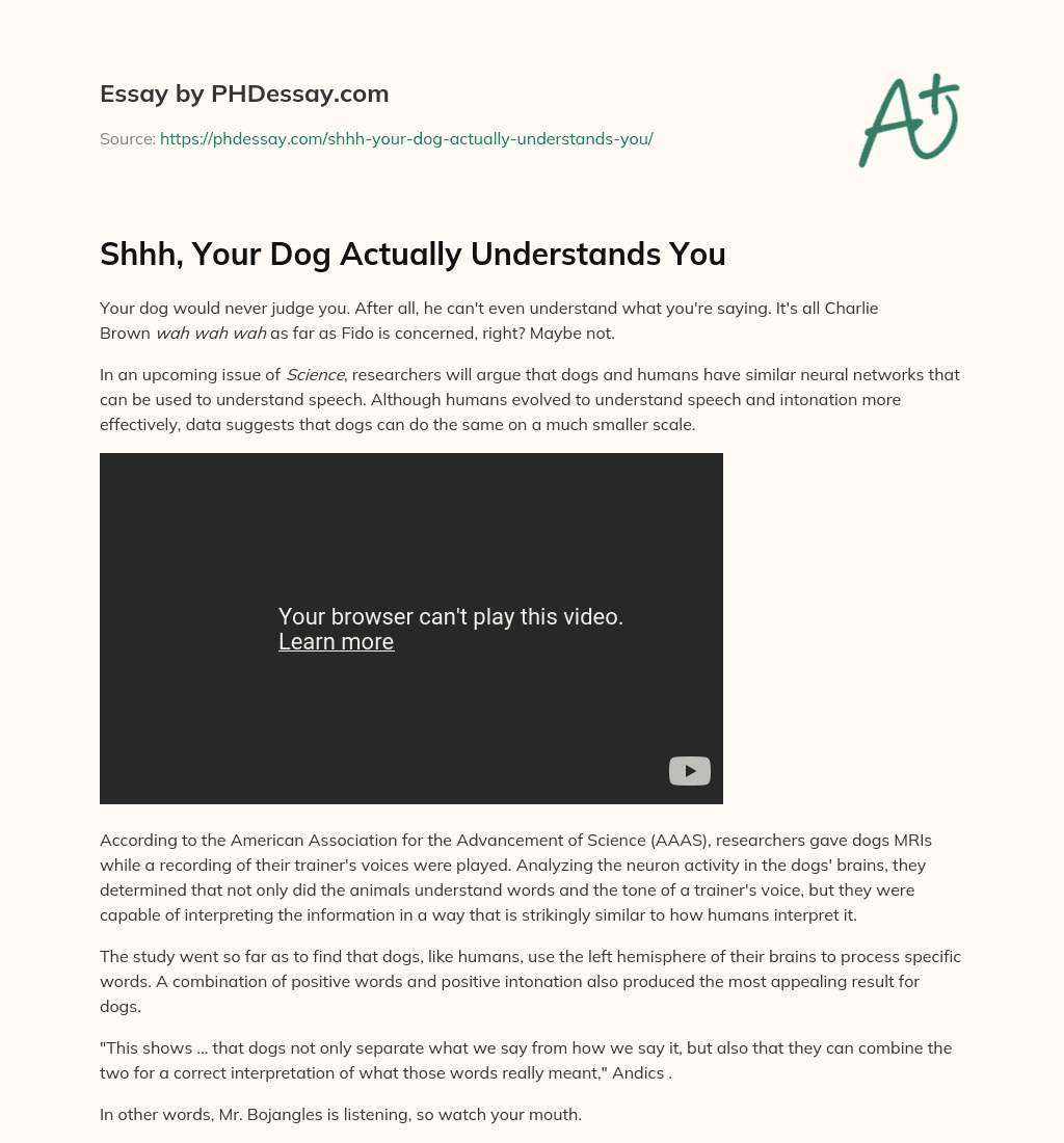 Shhh, Your Dog Actually Understands You essay