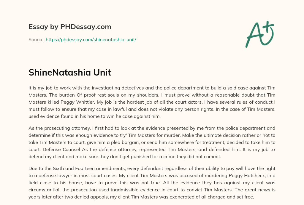 ShineNatashia Unit essay