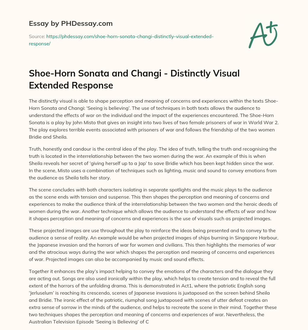 Shoe-Horn Sonata and Changi – Distinctly Visual Extended Response essay