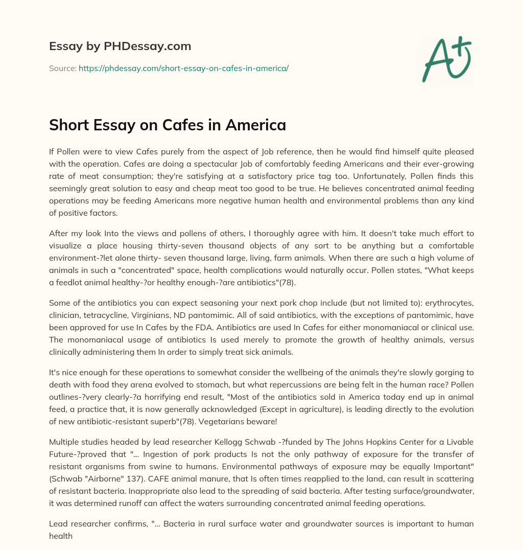 Short Essay on Cafes in America essay