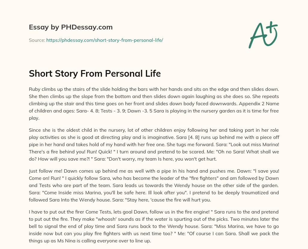 Short Story From Personal Life essay