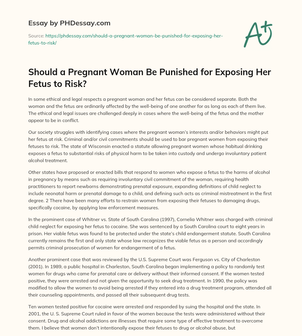 Should a Pregnant Woman Be Punished for Exposing Her Fetus to Risk? essay