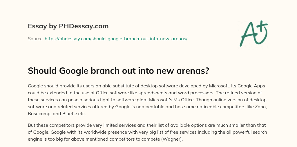 Should Google branch out into new arenas? essay